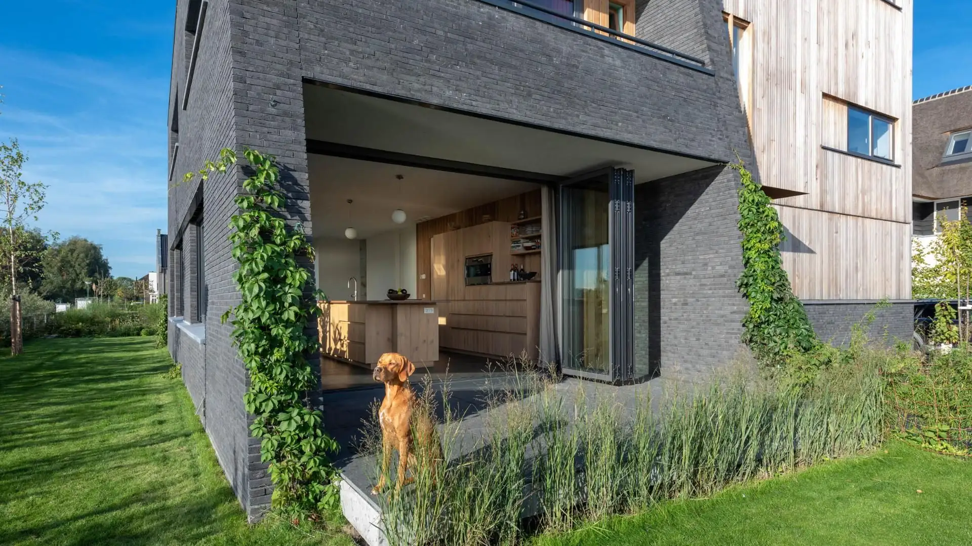 Freiheit auf allen Ebenen III